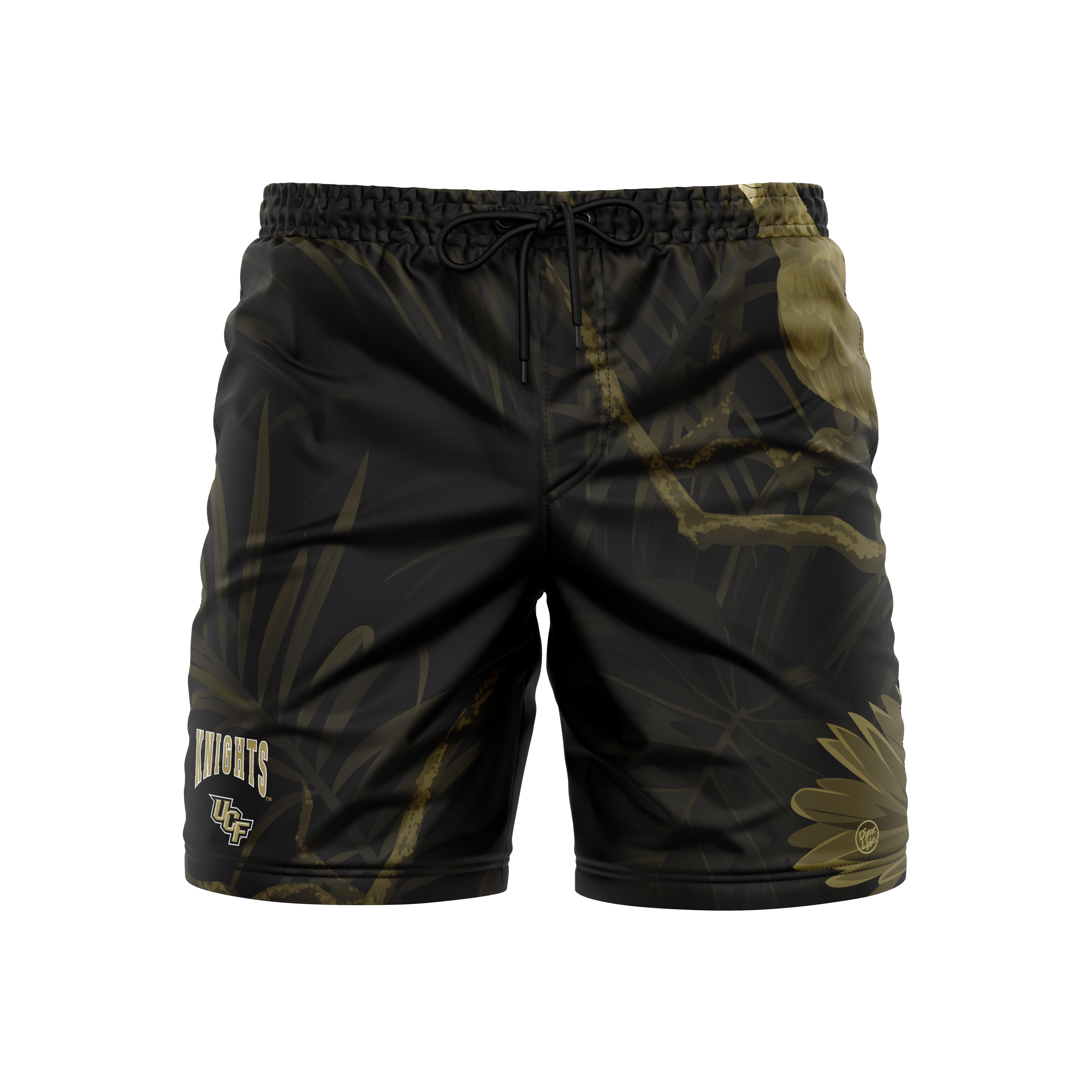 Central Florida Knights Men's Midnight Palm Trunks